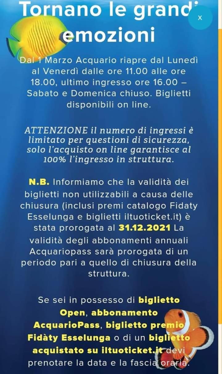 Suite Eleven Genua Rum bild